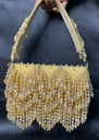 White Shimmering Beaded Tassel doli clutch Bag - Available in White, Golden, Red